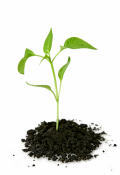 Soil Conditioner